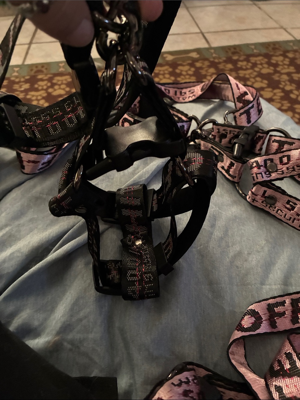 2xsmall, one small off white
Leash, collar, step in double clamp harness - Picture 3 of 5
